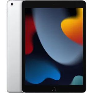 Apple iPad 9th Gen 256GB Silver Wi-Fi MK2P3LL/A (Latest Model)