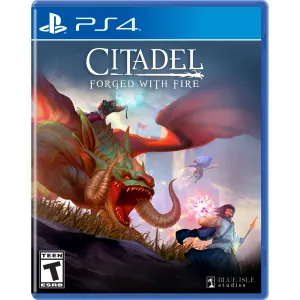 Blue Isle Studios Citadel: Forged With Fire (PlayStation 4)