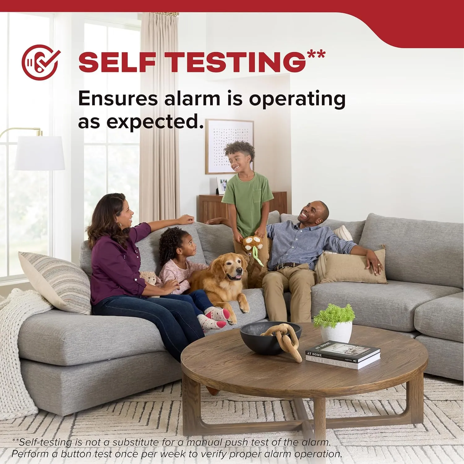 Kidde 20SD10 Smoke Detector, 10-Year Battery Powered, LED Warning Light Indicators, 2 Pack