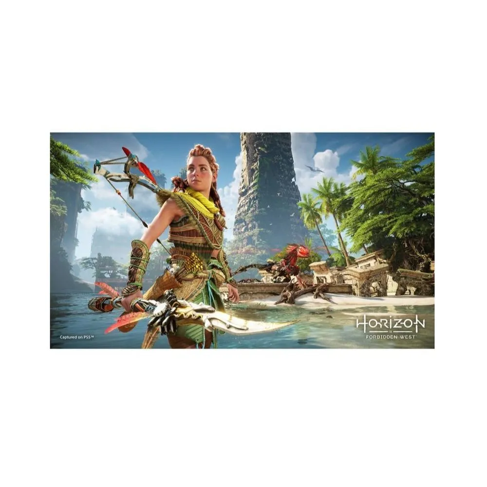 PlayStation Horizon Forbidden West: Launch Edition (PlayStation 4)
