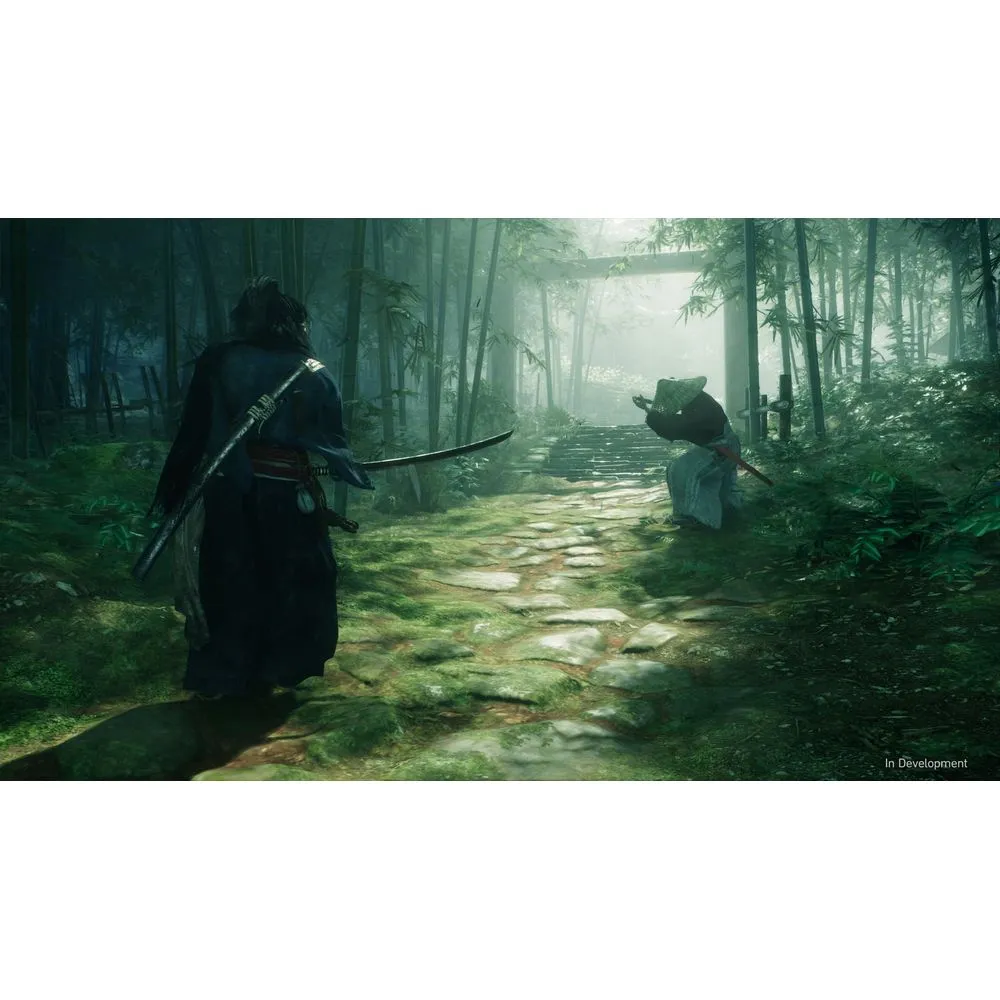 Sony Interactive Entertainment Rise of the Ronin (PlayStation 5)